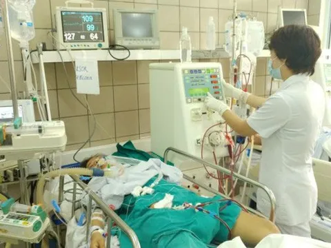 Suy thận chỉ vì ăn một quả đào mua ở hàng rong: Giám đốc Trung tâm Chống độc khuyến cáo gấp